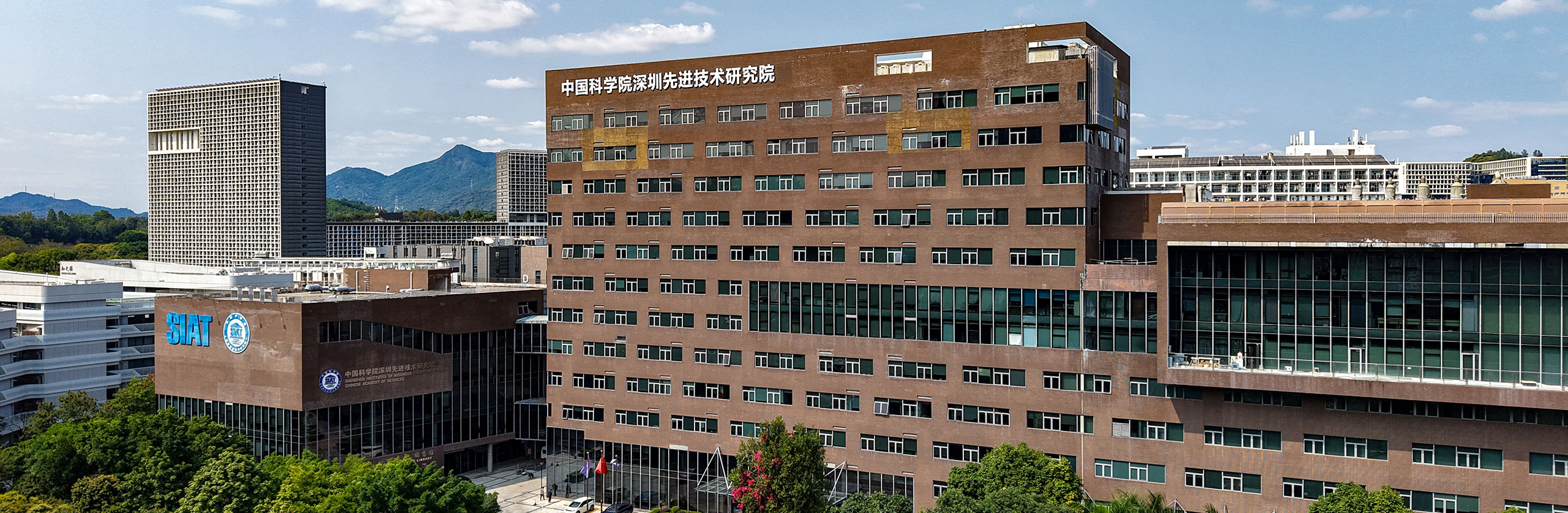 beat365在线体育app