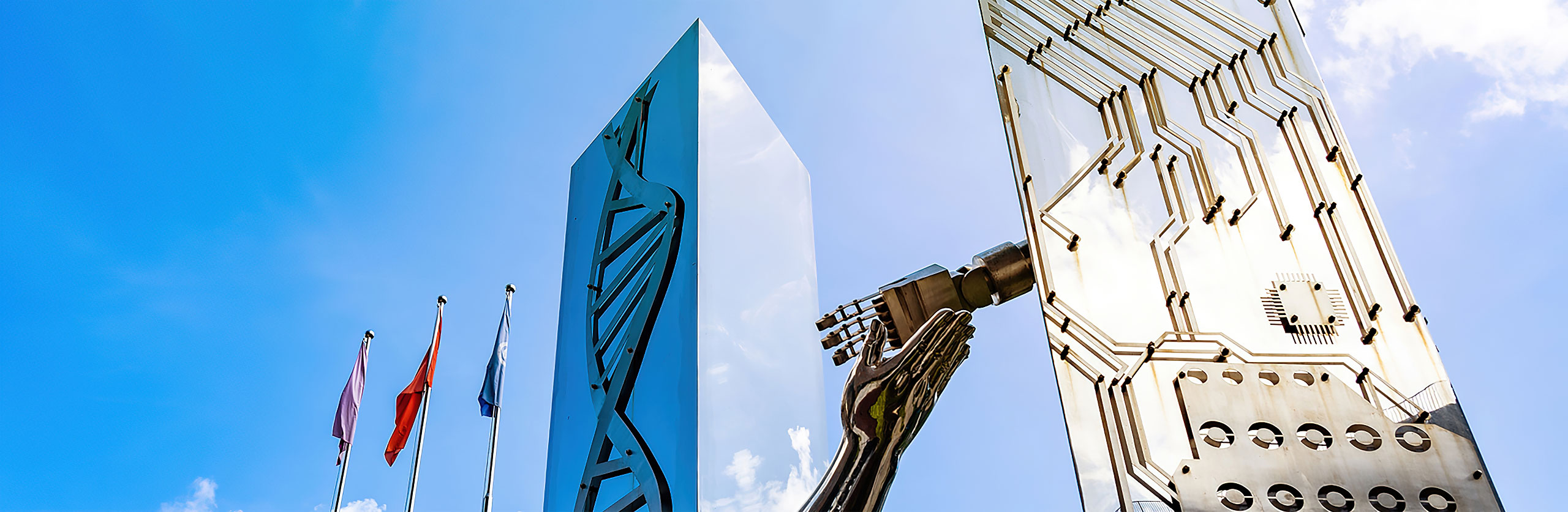 beat365在线体育app