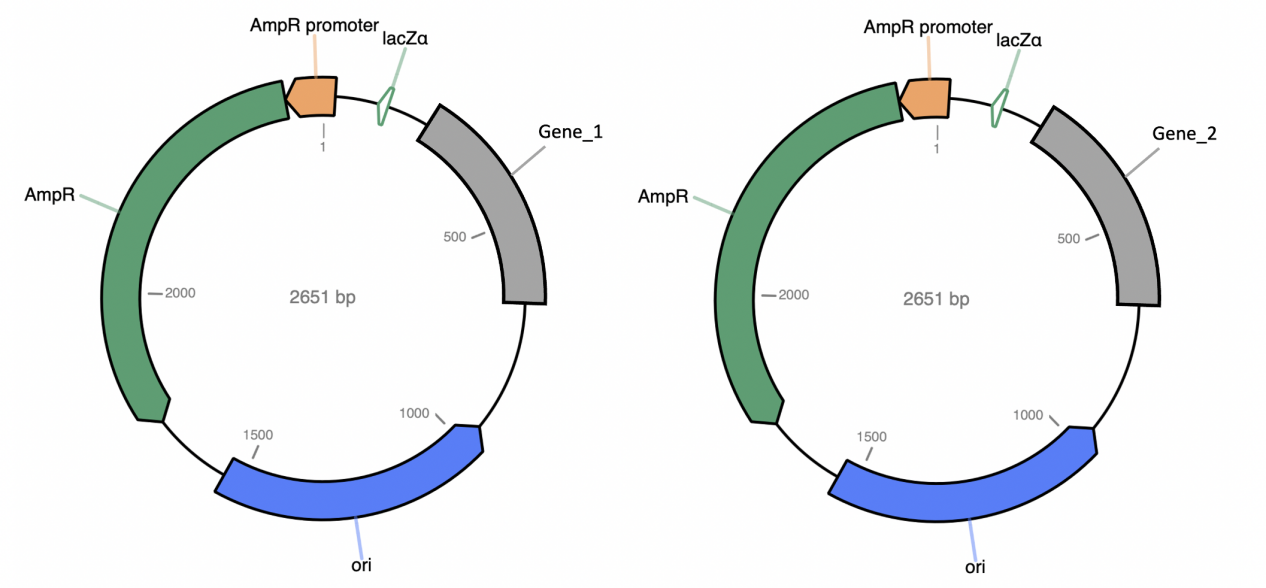 beat365在线体育app