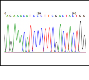 beat365在线体育app