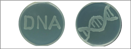 beat365在线体育app