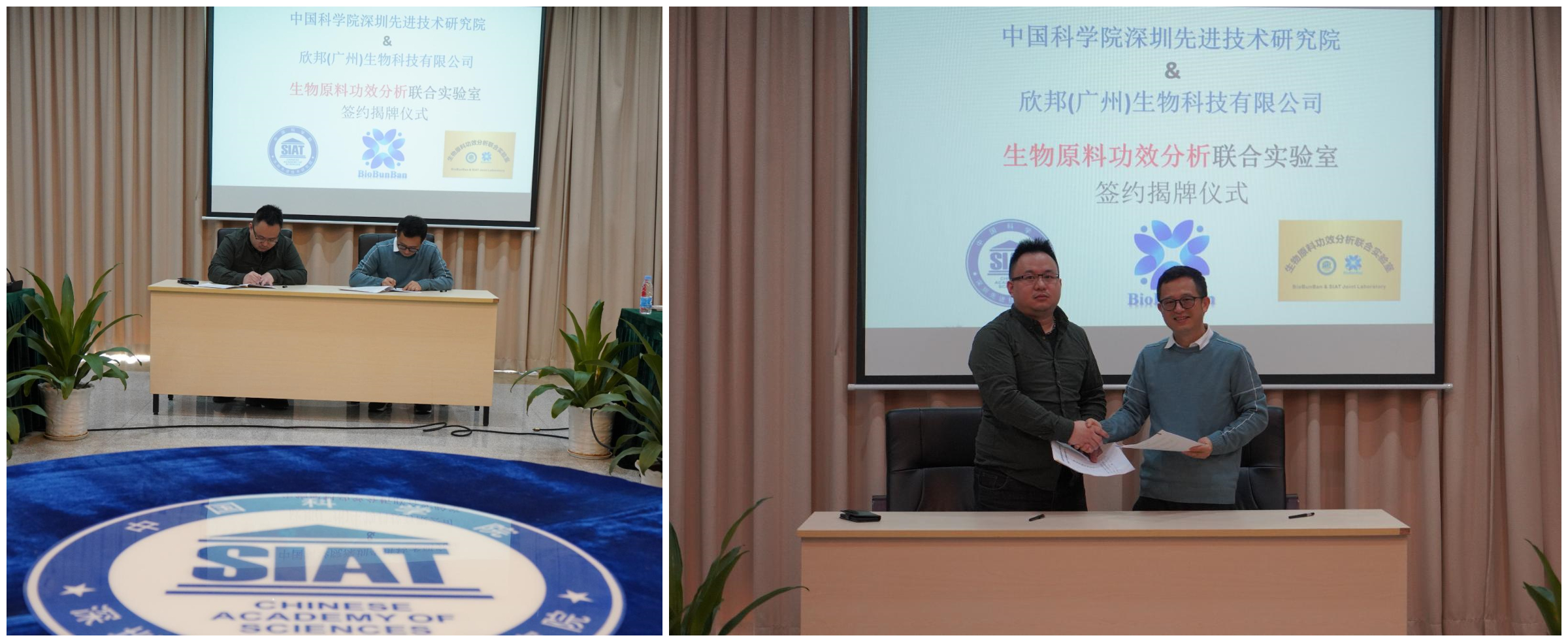 beat365在线体育app