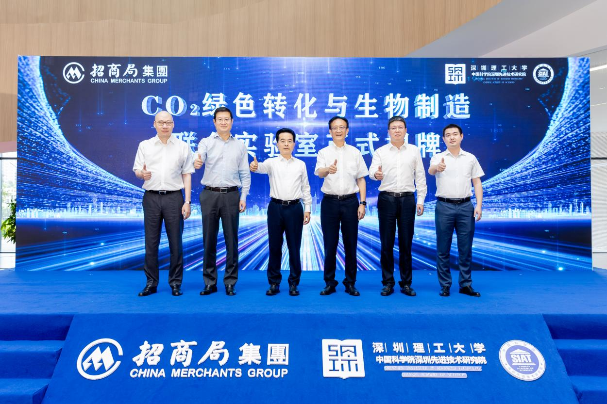 beat365在线体育app