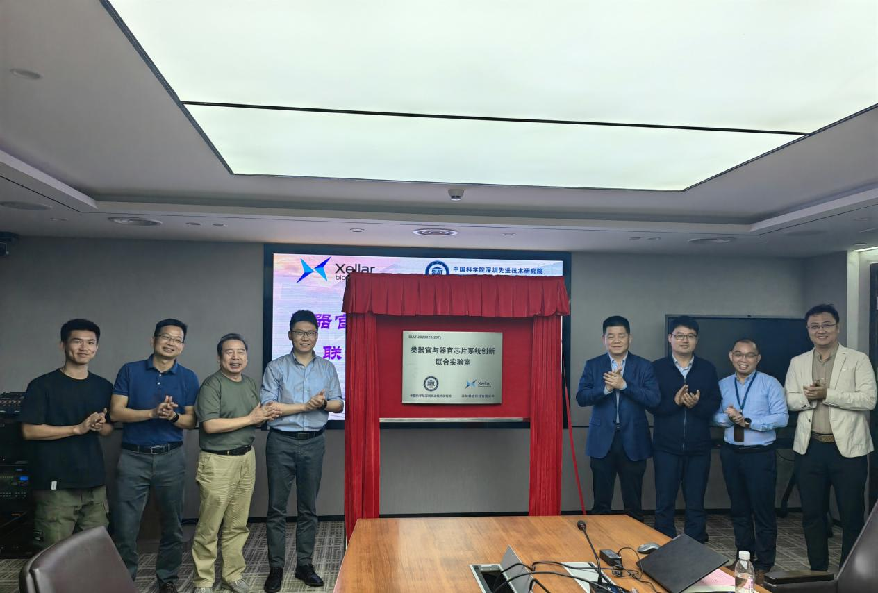 beat365在线体育app