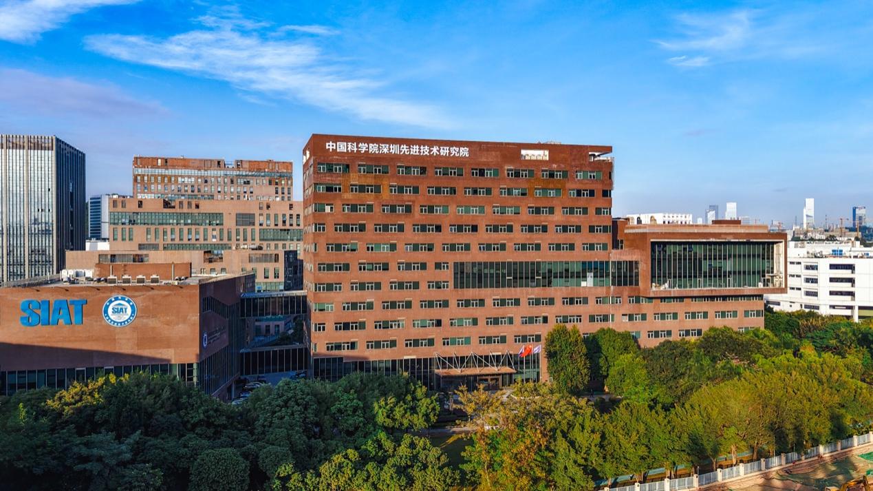 beat365在线体育app