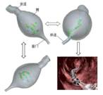 beat365在线体育app