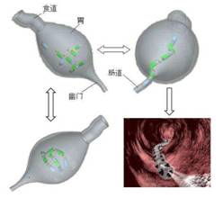 beat365在线体育app