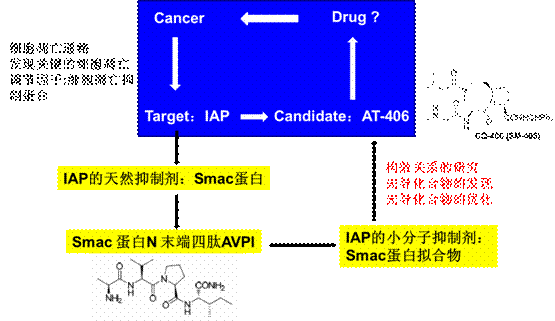 beat365在线体育app