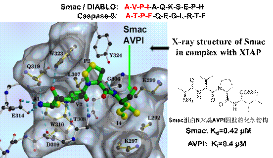 beat365在线体育app