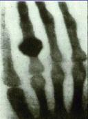 beat365在线体育app