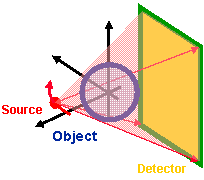 beat365在线体育app