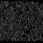 beat365在线体育app