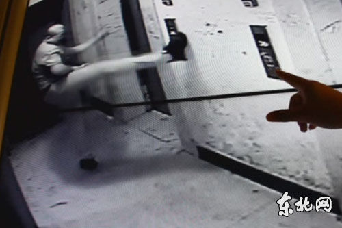 beat365在线体育app