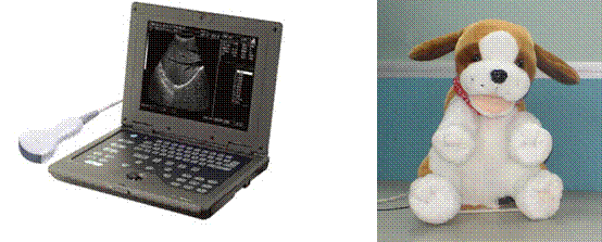 beat365在线体育app