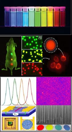 beat365在线体育app
