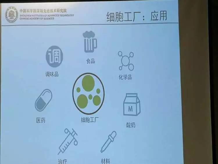 beat365在线体育app