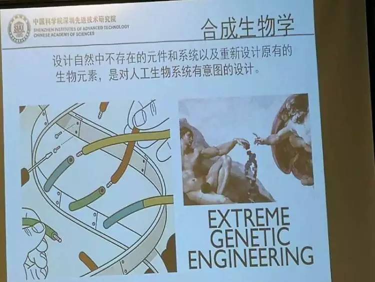 beat365在线体育app