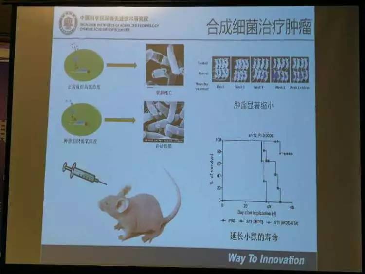 beat365在线体育app