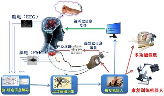 beat365在线体育app