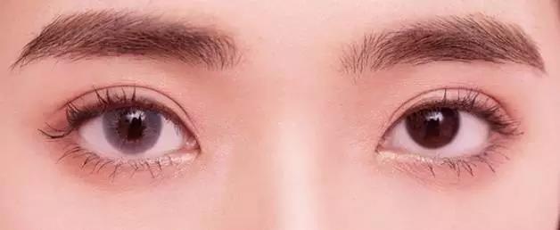 beat365在线体育app