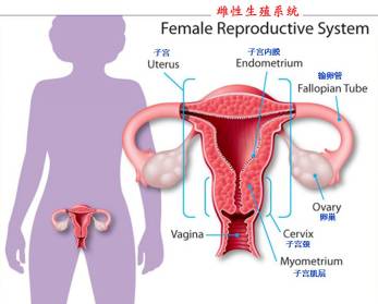 beat365在线体育app
