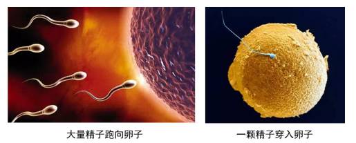 beat365在线体育app