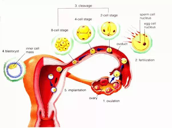beat365在线体育app