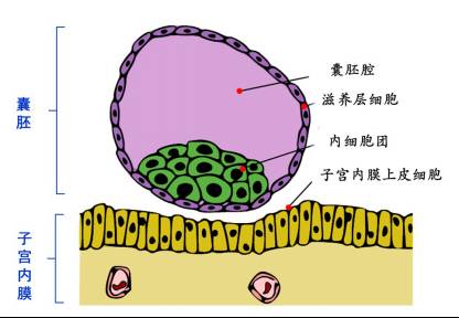 beat365在线体育app