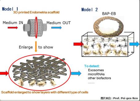 beat365在线体育app