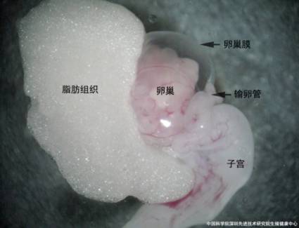 beat365在线体育app