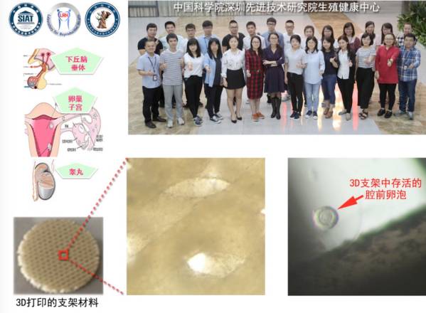 beat365在线体育app