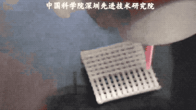 beat365在线体育app