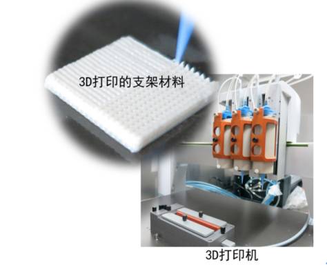 beat365在线体育app