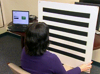 beat365在线体育app