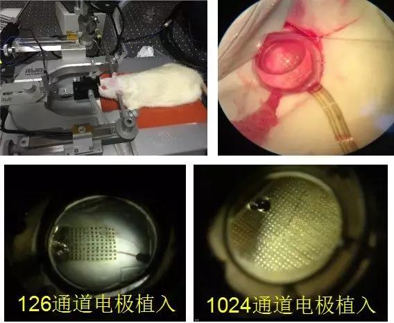 beat365在线体育app