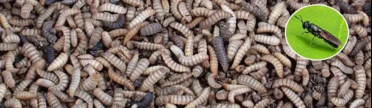 beat365在线体育app