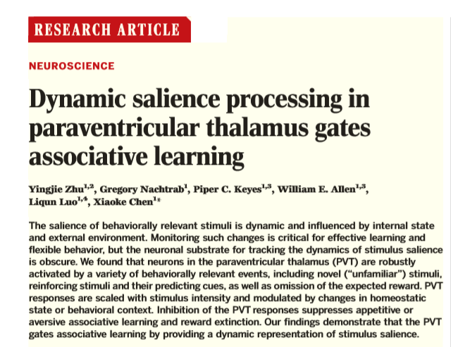 beat365在线体育app