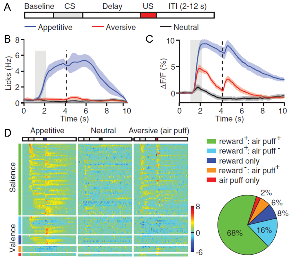 beat365在线体育app