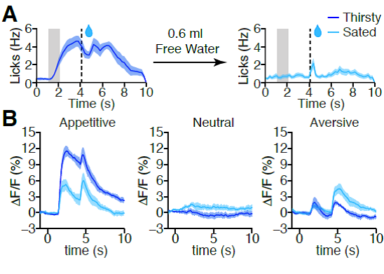 beat365在线体育app