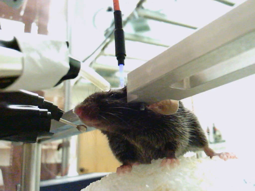 beat365在线体育app