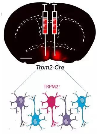 beat365在线体育app