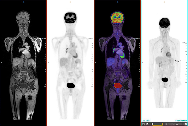 beat365在线体育app