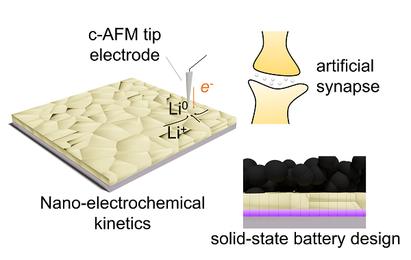 beat365在线体育app