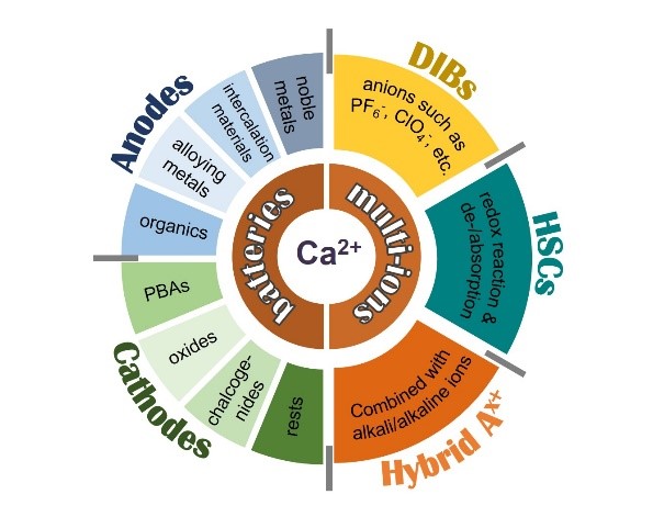 beat365在线体育app
