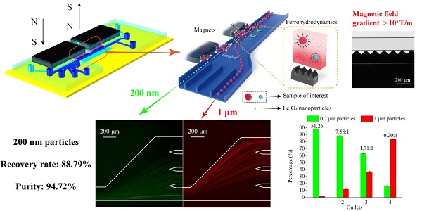 beat365在线体育app