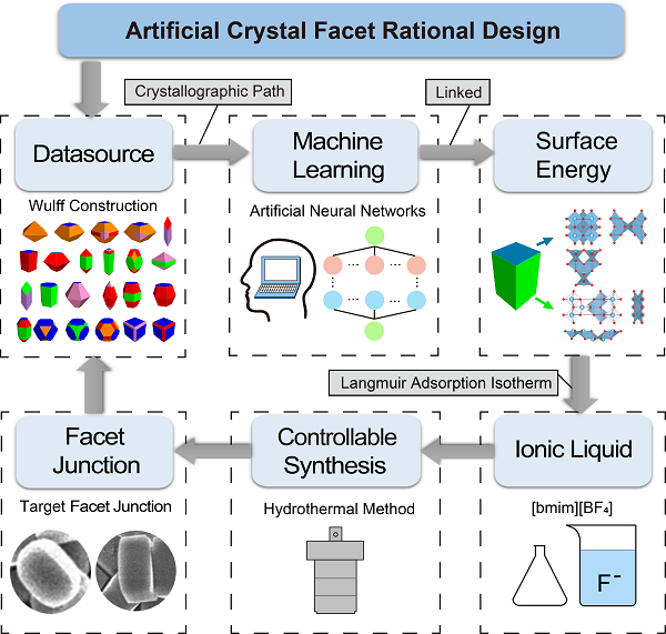 beat365在线体育app