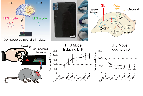 beat365在线体育app