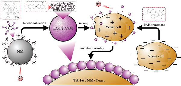 beat365在线体育app