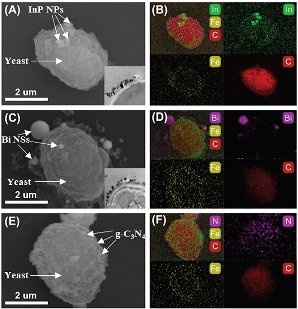 beat365在线体育app
