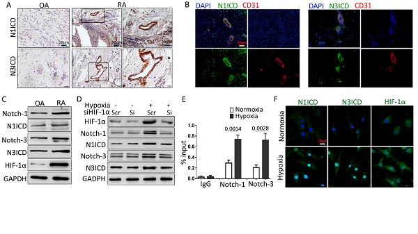 beat365在线体育app